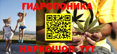 МДПВ Будённовск