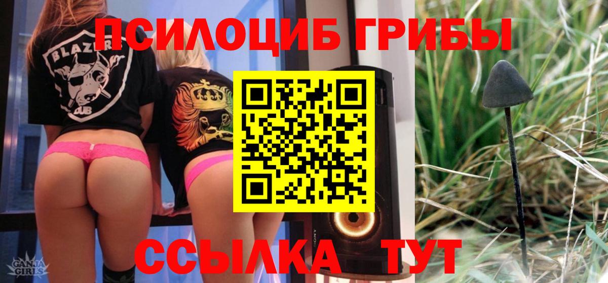 Галлюциногенные грибы Magic Shrooms Отрадный